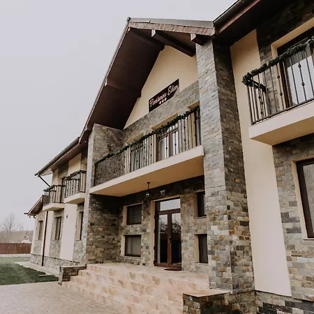Pensiunea Eden Guest house Budureasa